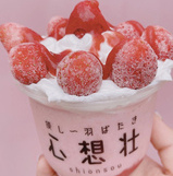 心想壮